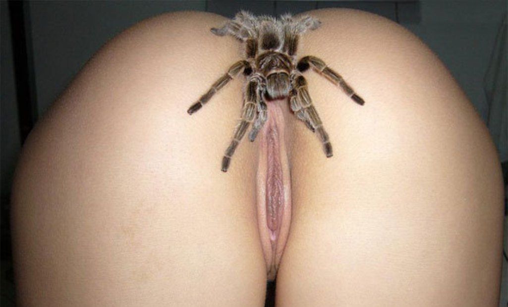 spider man cosplay porn - hannahowo only fans women jerking off men