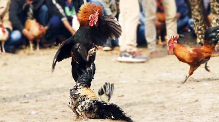 dickson riungu share bela blaze