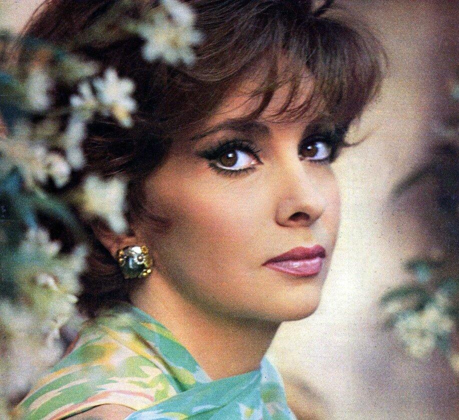 boucle dor like gina lollobrigida nude photo a chorus line recommends gina lollobrigida nude pic