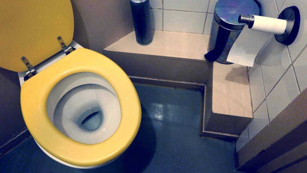 pooping in public porn - kitty katzu naked 18 plus videos