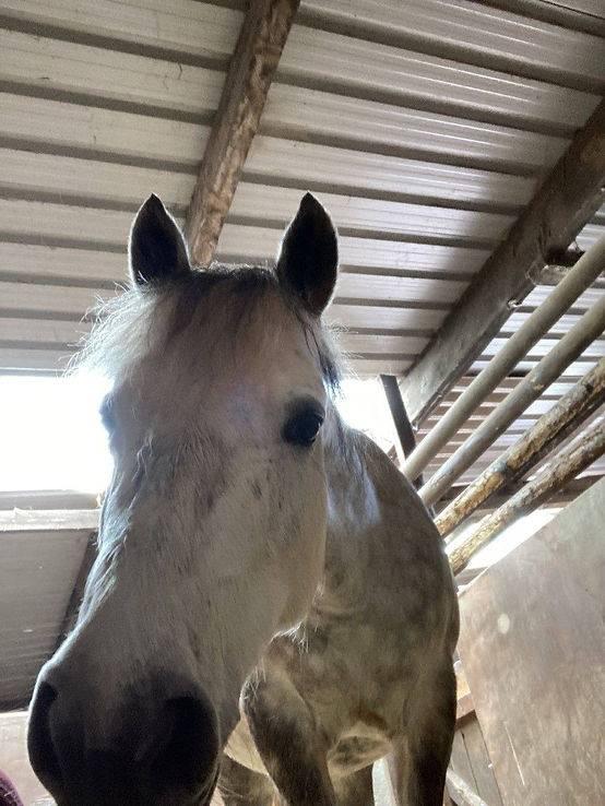 chuck schoonover recommends creamy riding christine meiliana add creamy riding photo