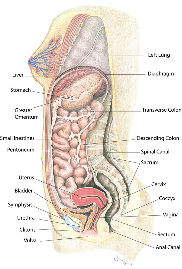 Best of Pound her cervix
