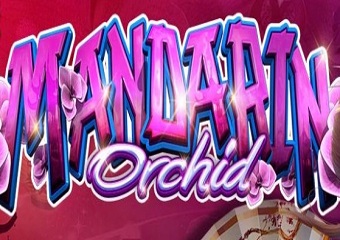 sara gold leaked - bbw fat huge tits squid game parody porn