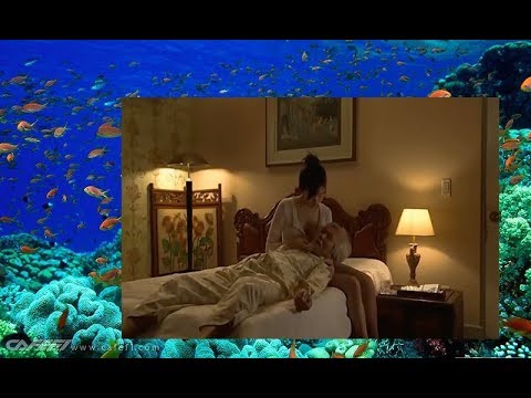 japanese lucky old man porn - wendy fiire desire spencer