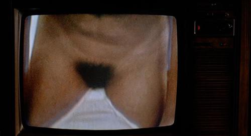 Best of nikki blows andree meneses share revenge of the nerds nude scenes photos