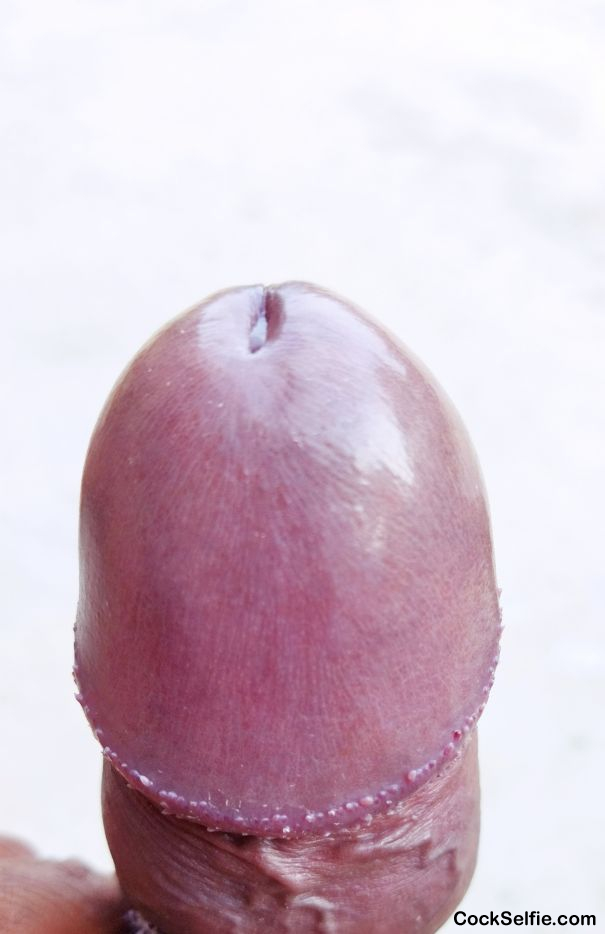 penis with big head stores massachusetts penis with big head