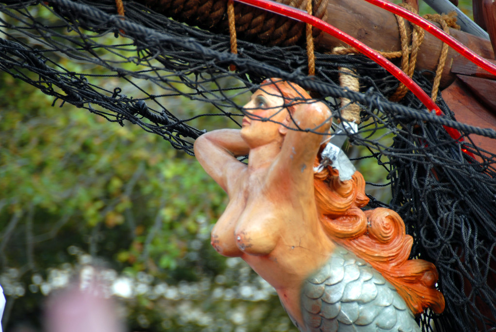 anita juwita recommends Mardi Gras Breast Flashing