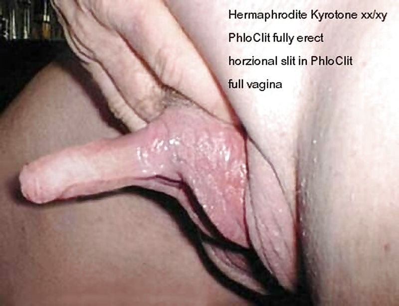 hermaphrodite sex videos - big breast cartoon pretty round tits
