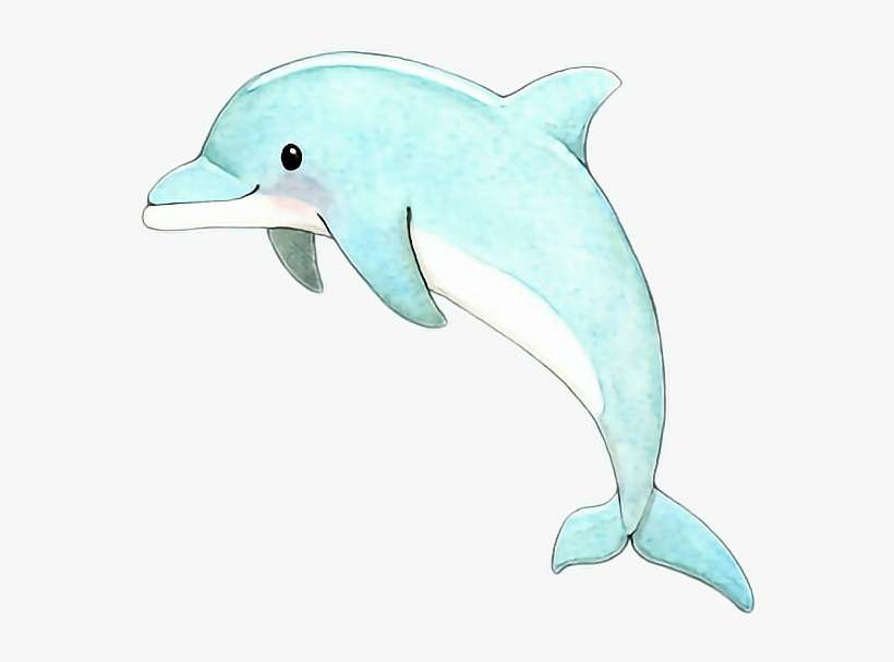 anime dolphin porn - erika jordan movies gay spanking cartoons
