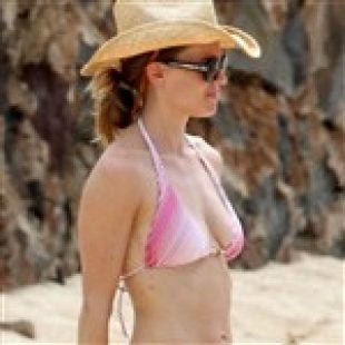 corina sullivan recommends hillery swank nude pic