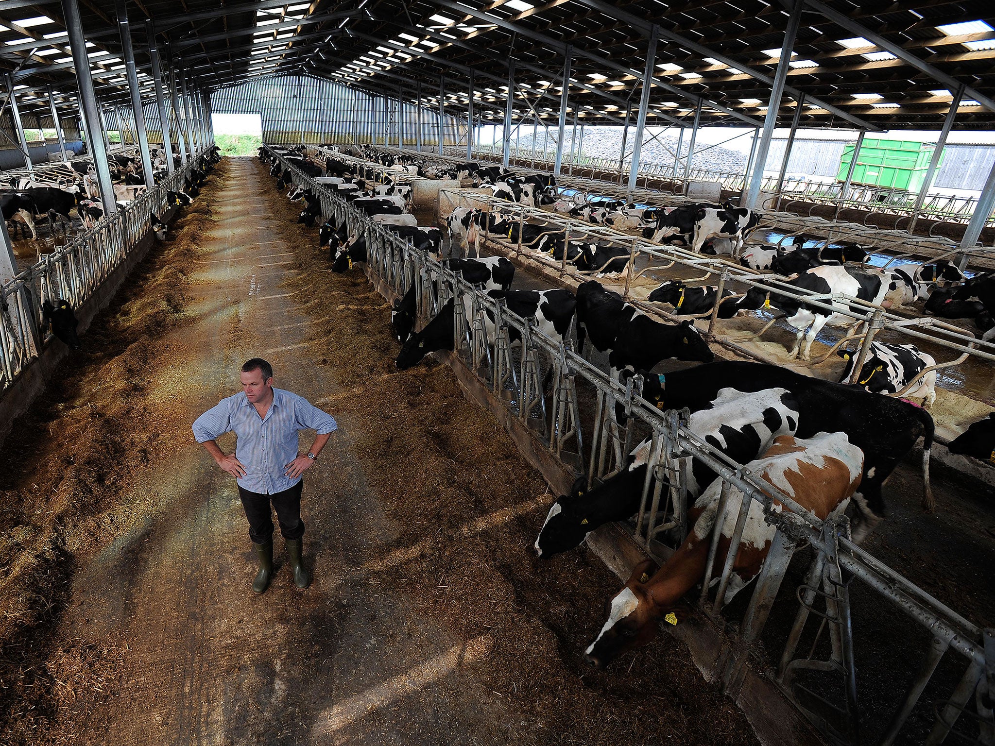 carey oneal recommends Mega Milker 2000
