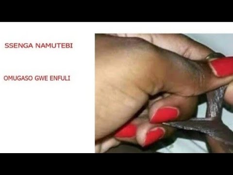 Best of pancake nippels dan kobel share labia stretching videos photos