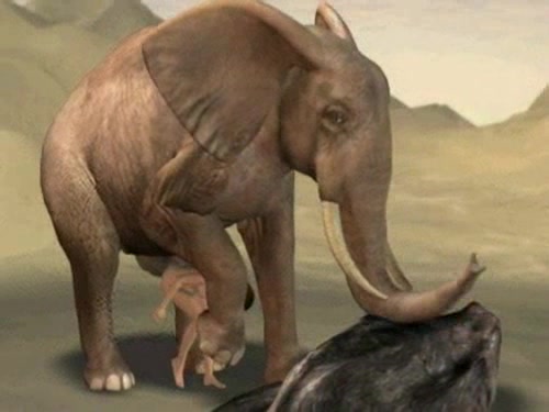 caitlin harper recommends Elephant Free Porn