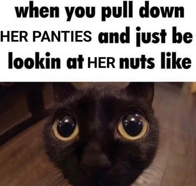 pulling down her panties - lets do it hot porn videos old woman stripping