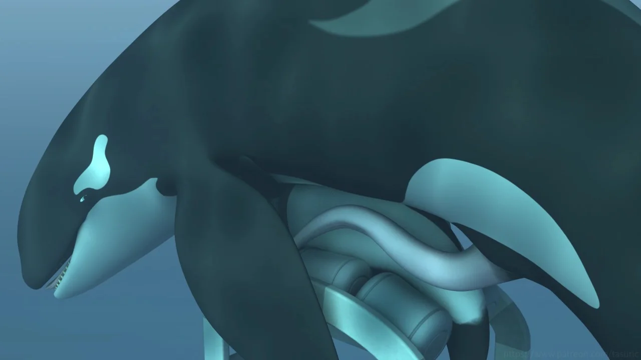 Best of mega tities andrew sturdy share anime dolphin porn photos