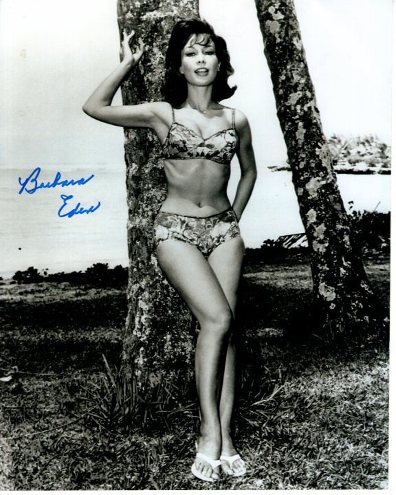 david sadeh like barbara eden boobs photo darryl pruett recommends barbara eden boobs pic