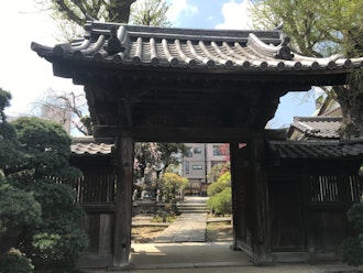 allon nash like japanese schoolgirl bukakke photo candice pennington recommends japanese schoolgirl bukakke pic