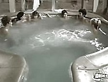 anneka di lorenzo nude - sofia black d elia hot transsexual footjob