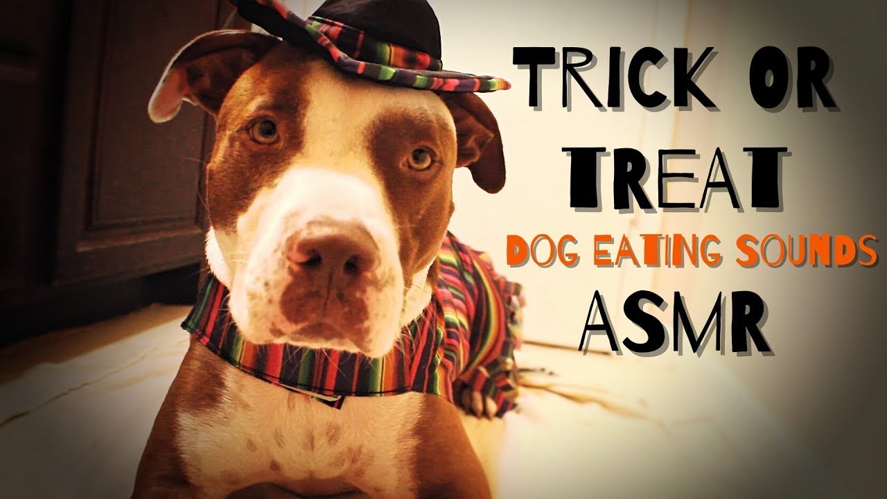 craig lauzon like asmr doggystyle photo adam seeling recommends tits hand jobs pic