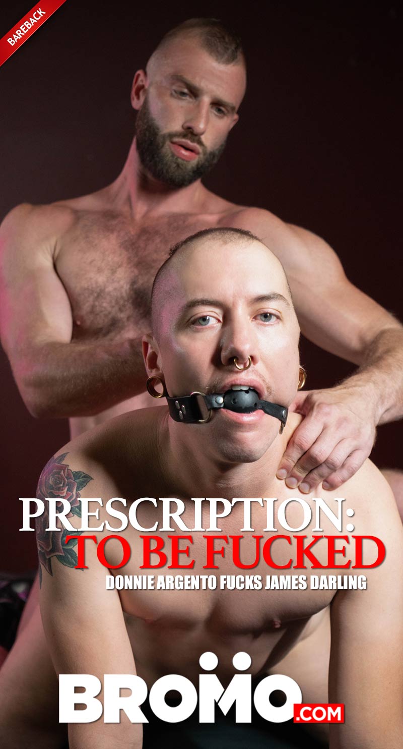 Top pics of andre barrette's XXX archive amir mujkanovic add photo
