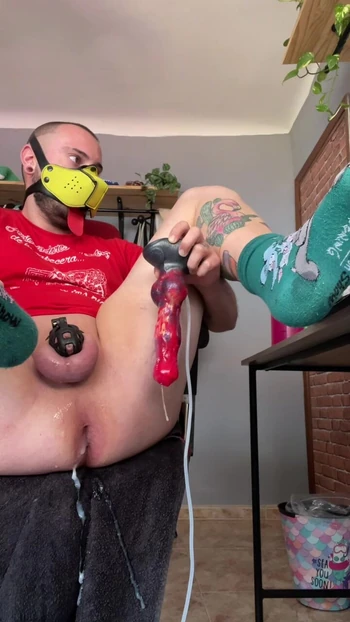 alice may miller share turkey fisting