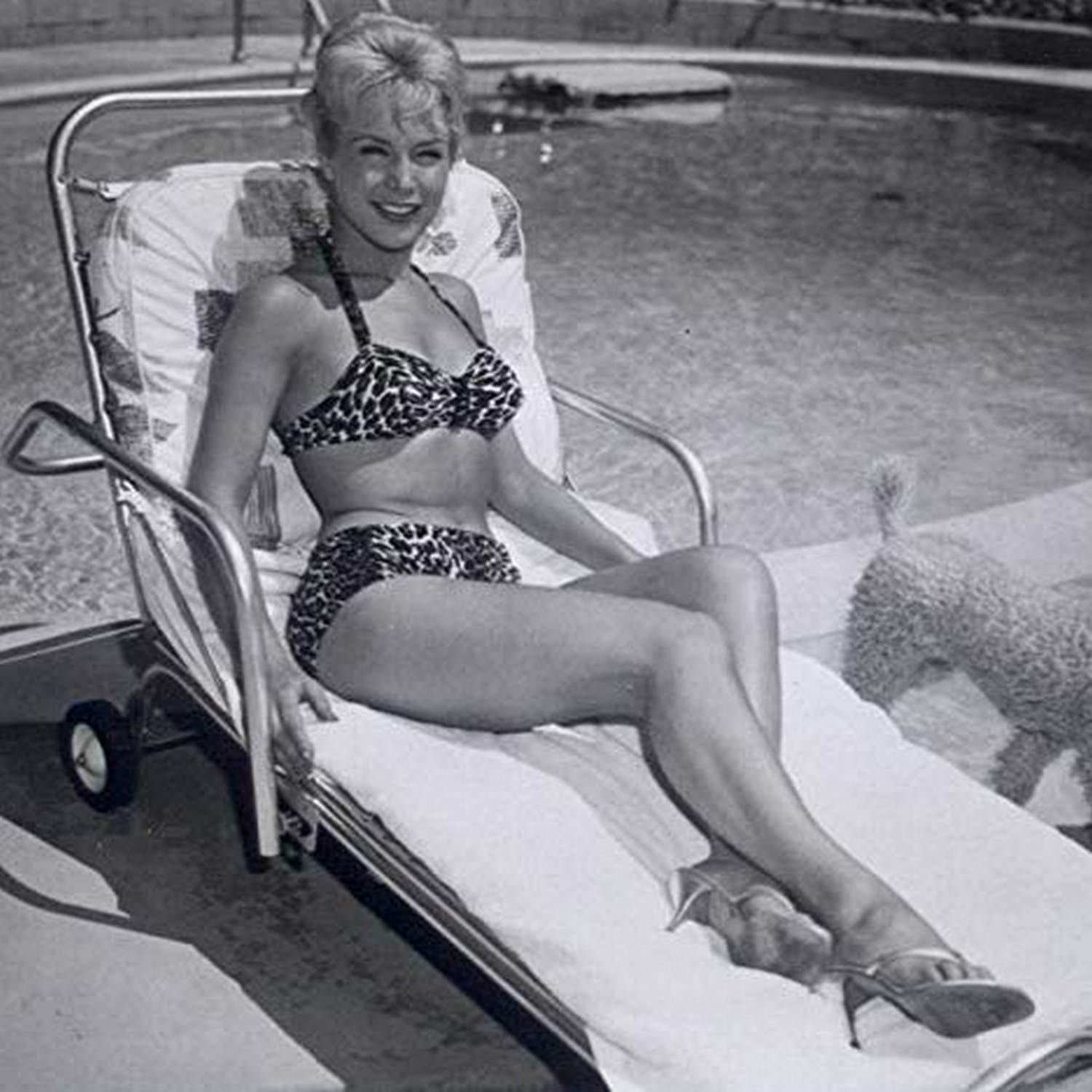 brody banks recommends Barbara Eden Measurements