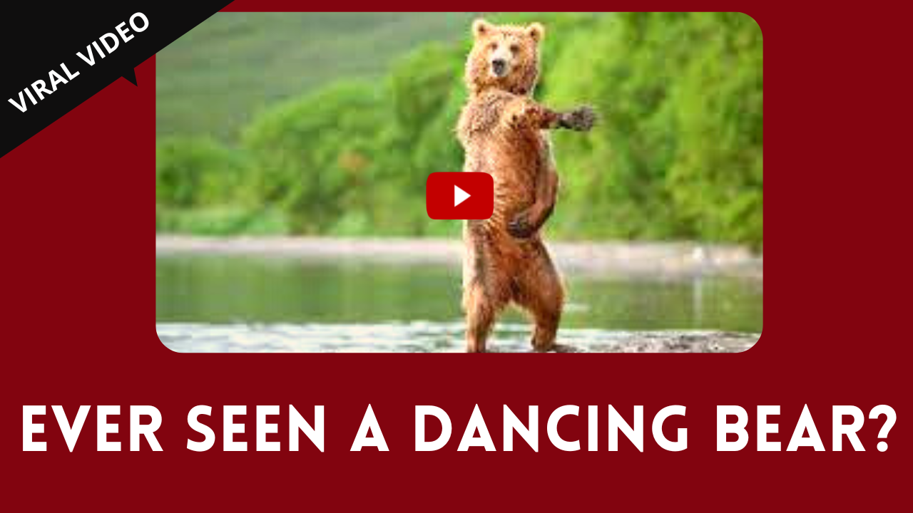 Mike adriano porn videos clare fonda Dancing Beer Full Video plug ass
