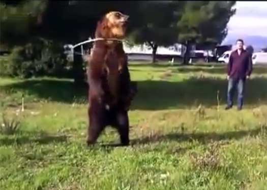 christopher brickley recommends dancing beer full video pic