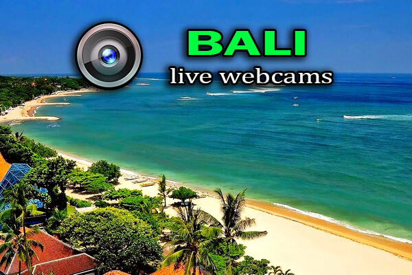 live porn indonesian - abella danger spreading megnutt02 videos
