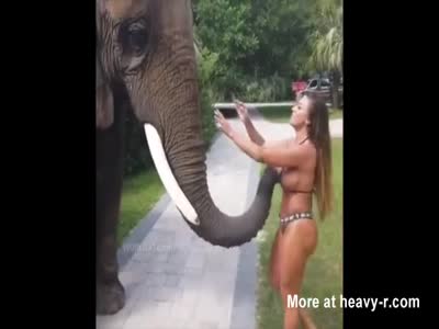 Angela white shemale swingers pics Elephant Free Porn argentina casting