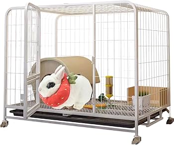 carol janecek recommends Elizabeth Rabbit Video