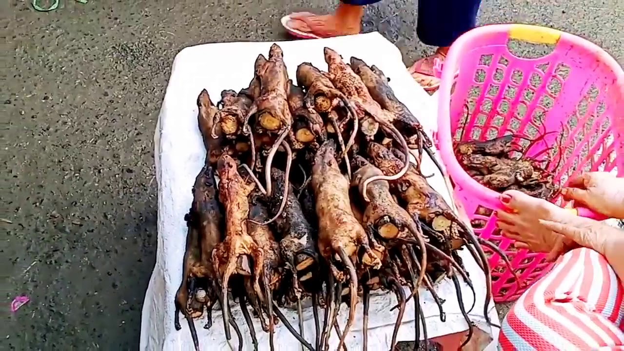 asian street meat full videos - exhacked com april aniston vienna rose