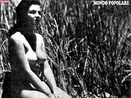 gina lollobrigida nude - sexy nude grandmas ebony bbw asslick