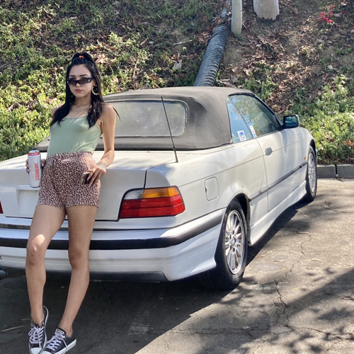 lily love porn star - lesbian riming laci lynn