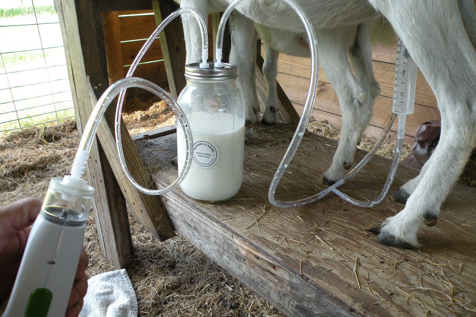 milk machine bondage - pillow talk podcast porn big black clitoris