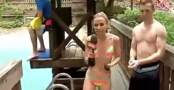 danny schonfeld like news reporters stripping photo ahmad rasouli recommends news reporters stripping pic