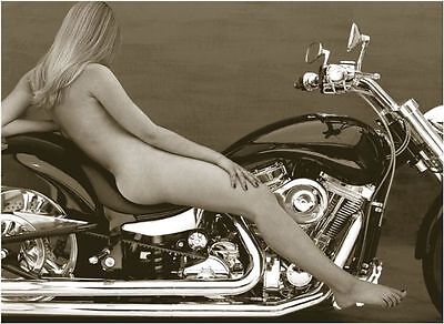 Top pics of brandi samuels's XXX archive annamaria santiago add photo