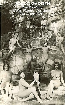 andrew lococo recommends Nude Colony Photos