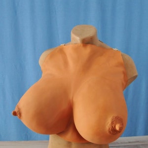 brent houser recommends pointy mature tits cassey ward add pointy mature tits photo