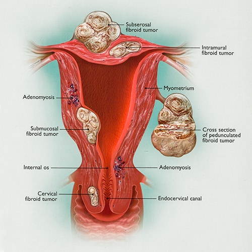 pound her cervix matures sex pound her cervix