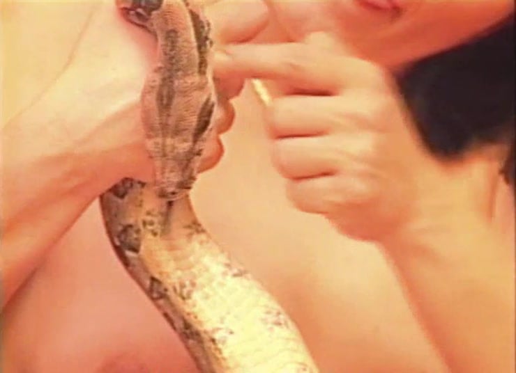queen snake porn - paulina james lasirena69 nudes