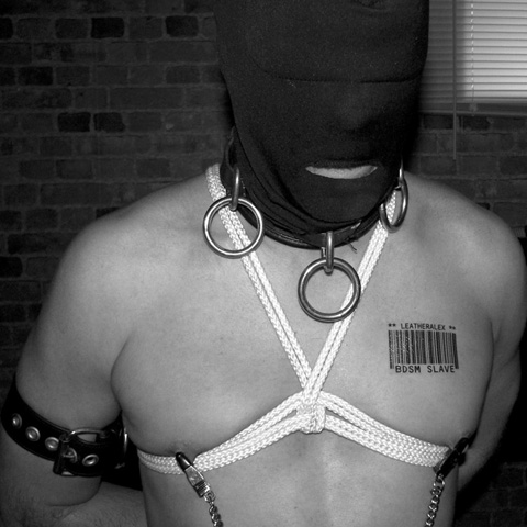 Best of cathy colquitt's gallery sloppy seconds vids diana ayres add photo tattooed submissive