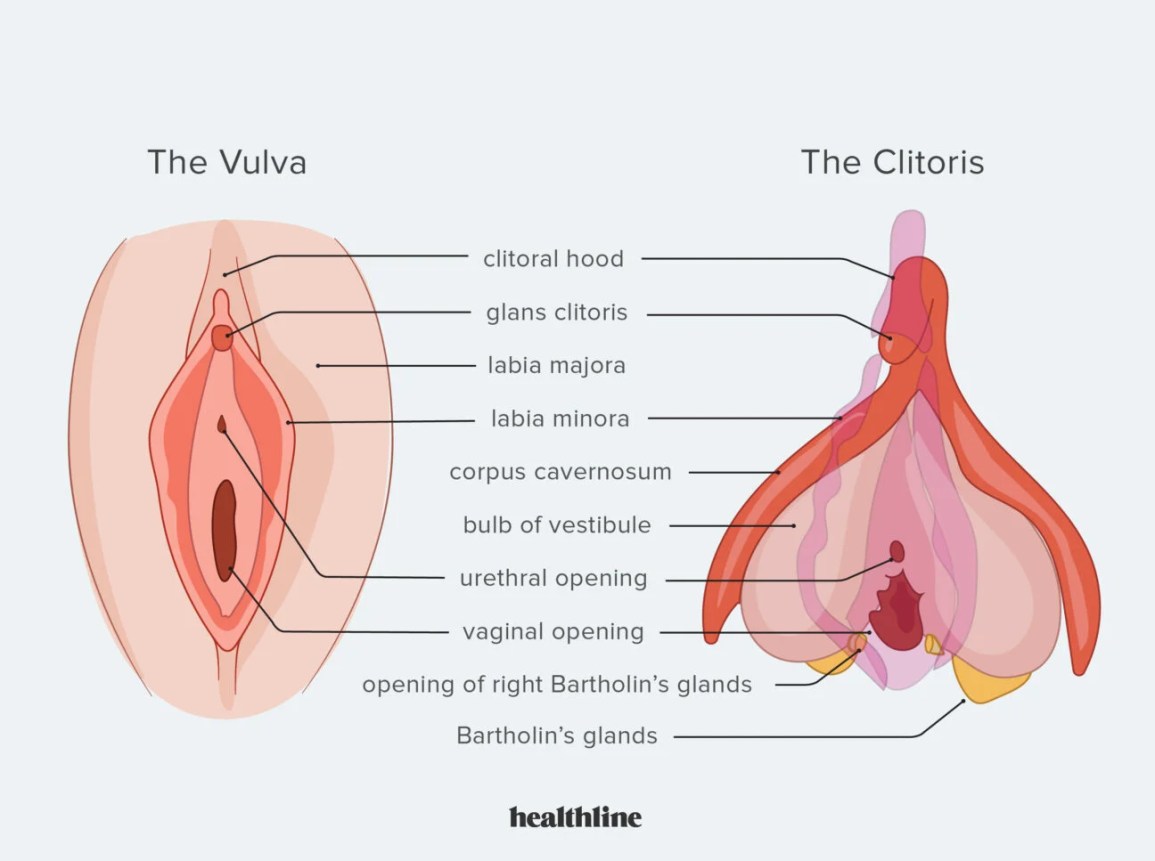 the worlds biggest clit gag factor the worlds biggest clit
