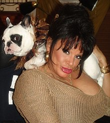 addy cool recommends Vanessa Del Rio Clips