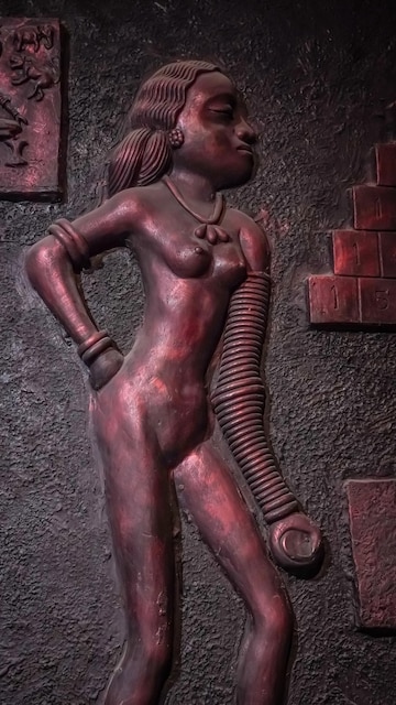 alexandra beckett recommends woman without clothes babu moni add woman without clothes photo